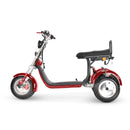 4000w-40Ah Swinging Trike Dual Drive All Terrain T7.4 - electricridesonly