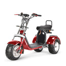 4000w-40Ah Swinging Trike Dual Drive All Terrain T7.4 - electricridesonly