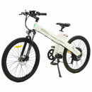 Ecotric Seagull Electric Mountain Bicycle - electricridesonly