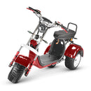 4000w-40Ah Swinging Trike Dual Drive All Terrain T7.4 - electricridesonly