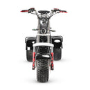 4000w-40Ah Swinging Trike Dual Drive All Terrain T7.4 - electricridesonly