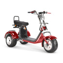 4000w-40Ah Swinging Trike Dual Drive All Terrain T7.4 - electricridesonly