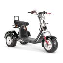 4000w-40Ah Swinging Trike Dual Drive All Terrain T7.4 - electricridesonly