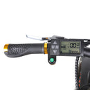 Nakto Cruiser 26" Fat Tire Electric Bike - electricridesonly