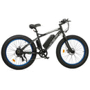 Ecotric Cheetah 26 Fat Tire Beach Snow Electric Bike - electricridesonly