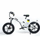 GreenBike Big Dog Off Road 2021 Edition Electric Bike - Electricridesonly.com