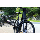 Genze E222 Step-Thru 350 Watt - Electricridesonly.com