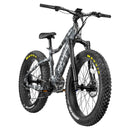 RAMBO Nomad 750 XPC11 Electric Bike - Electricridesonly.com