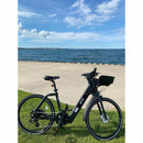 Genze E222 Step-Thru 350 Watt - Electricridesonly.com