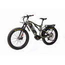 Bakcou Storm Electric Bike - Electricridesonly.com