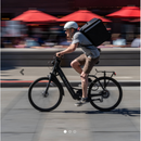 Genze E222 Step-Thru 350 Watt - Electricridesonly.com