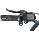 GreenBike Legend HD Electric Bike - Electricridesonly.com