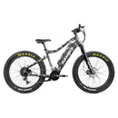 RAMBO Nomad 750 XPC11 Electric Bike - Electricridesonly.com
