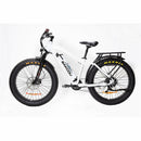 Bakcou Flatlander Electric Bike - Electricridesonly.com