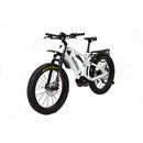 Bakcou Storm Electric Bike - Electricridesonly.com