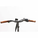 GreenBike Classic HS 2021 Edition Electric Bike - Electricridesonly.com