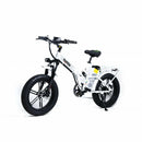 GreenBike Big Dog Off Road 2021 Edition Electric Bike - Electricridesonly.com
