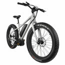 RAMBO Cruiser 500W - Electricridesonly.com
