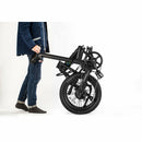 QUALISPORTS Dolphin - Electricridesonly.com