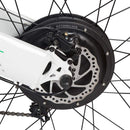 Ecotric Seagull Mountain Electric Bike - Electricridesonly.com