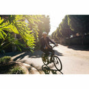 Genze E201 350 Watt Electric Bike - Electricridesonly.com