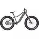 Quietkat Pioneer Electric Bike - electricridesonly