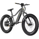 Quietkat Pioneer Electric Bike - electricridesonly