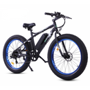 Ecotric Fat Tire Beach Snow Electric Bike - Electricridesonly.com
