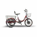 EW-29 eWheels Mobility Scooter - Electricridesonly.com