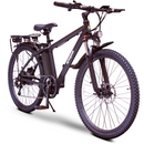 EW-Rugged eWheels Electric Bike - Electricridesonly.com