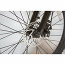 EW-Rugged eWheels Electric Bike - Electricridesonly.com