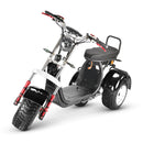 4000w-40Ah Swinging Trike Dual Drive All Terrain T7.4 - electricridesonly