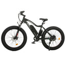 UL Certified-Ecotric Rocket Fat Tire Beach Snow Electric Bike - electricridesonly