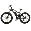 UL Certified-Ecotric Rocket Fat Tire Beach Snow Electric Bike - electricridesonly