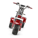 4000w-40Ah Swinging Trike Dual Drive All Terrain T7.4 - electricridesonly