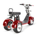 4000w-40Ah Swinging Trike Dual Drive All Terrain T7.4 - electricridesonly