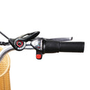 Nakto Camel Step-Thru 26'' Women City Electric Bike Black - electricridesonly