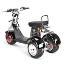 4000w-40Ah Swinging Trike Dual Drive All Terrain T7.4 - electricridesonly