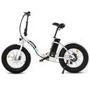 UL Certified-Ecotric 20inch Portable and folding fat bike model Dolphin - electricridesonly