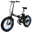 UL Certified-Ecotric 36V Fat Tire Portable and Folding Electric Bike - electricridesonly