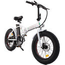 UL Certified-Ecotric 36V Fat Tire Portable and Folding Electric Bike - electricridesonly