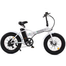 UL Certified-Ecotric 36V Fat Tire Portable and Folding Electric Bike - electricridesonly