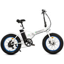 UL Certified-Ecotric 36V Fat Tire Portable and Folding Electric Bike - electricridesonly