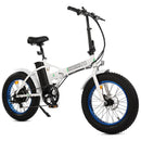 UL Certified-Ecotric 36V Fat Tire Portable and Folding Electric Bike - electricridesonly