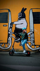 EVOLV CITY V2 - electricridesonly