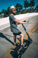 EVOLV TERRA - electricridesonly