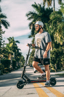 EVOLV TERRA - electricridesonly