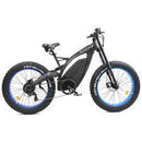 Ecotric 48v 17.5AH 1000W big fat tire ebike Bison-Matt Black - electricridesonly