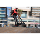 INOKIM OX - Electricridesonly.com