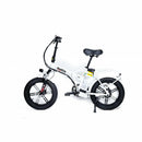 GreenBike Big Dog Extreme 2021 Edition Electric Bike - Electricridesonly.com